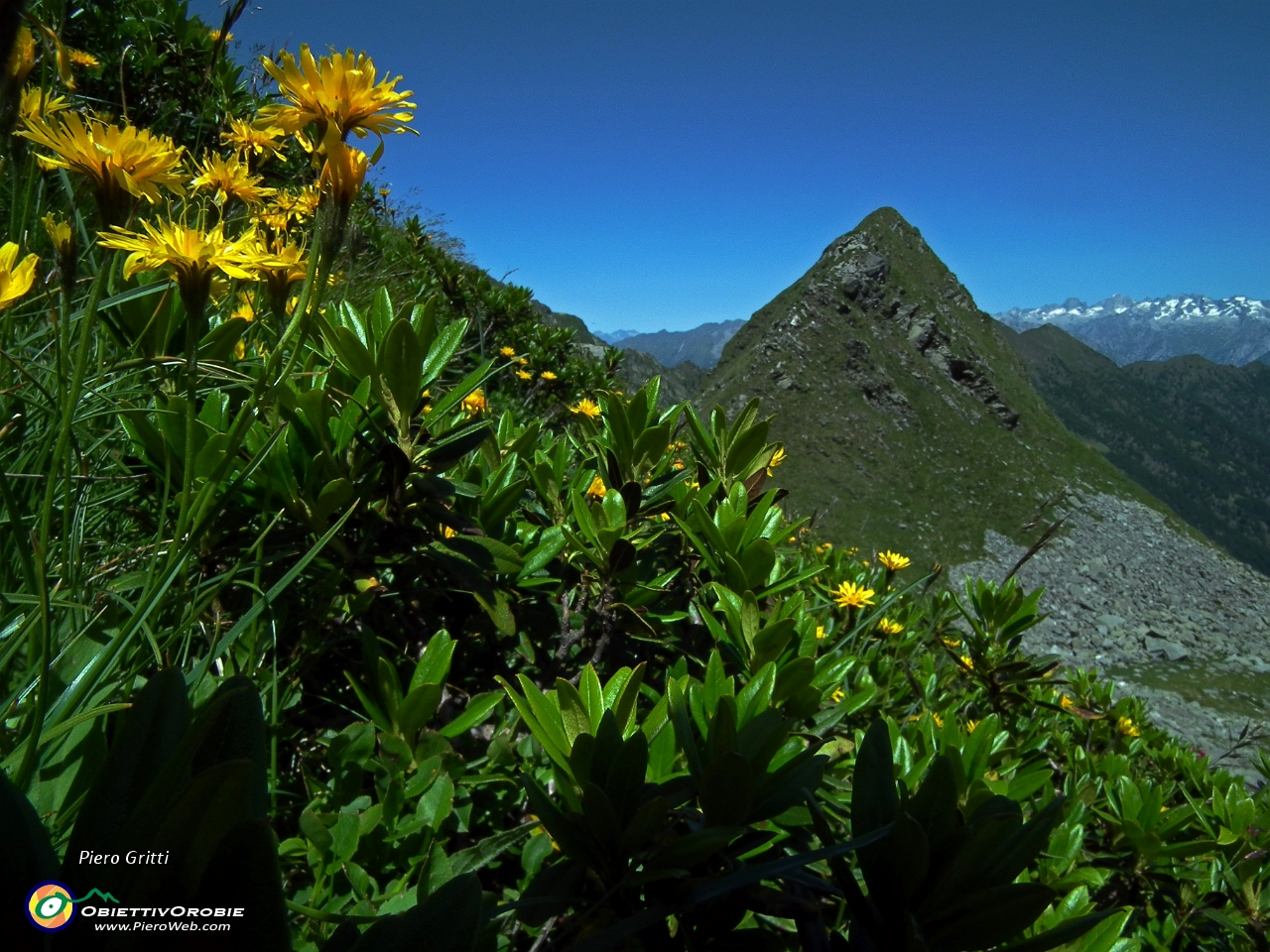 55 Pizzo del Vento (2235 m.)....JPG